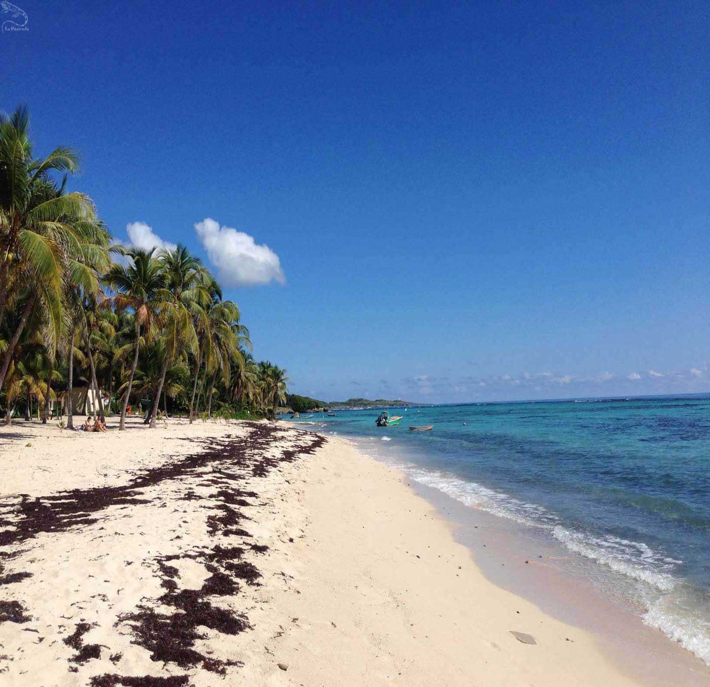 La plage du souffleur